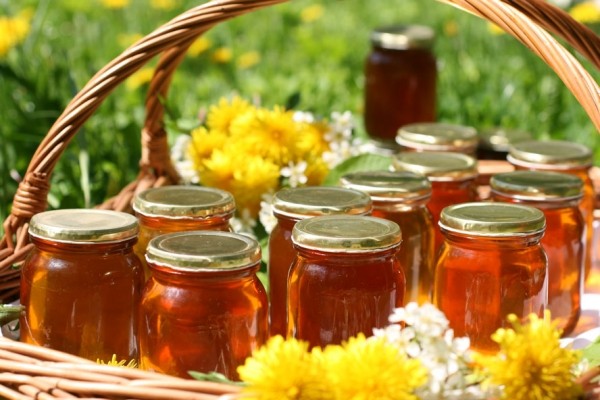 Мед из одуванчиков — польза и рецепты