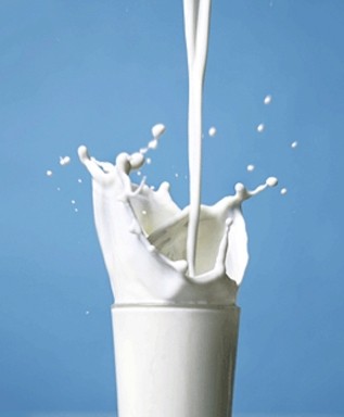 Полезно ли пить молоко взрослым людям? Давайте разберемся!