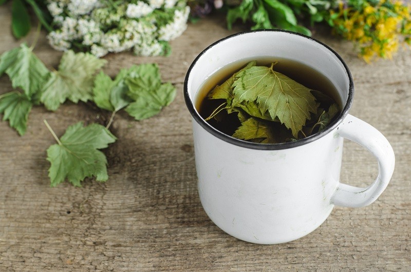 Всё лето пьем чай со смородиновыми листьями, на зиму сушим не первый год