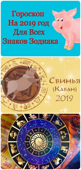 Год свиньи: общий гороскоп на 2019 для всех знаков зодиака