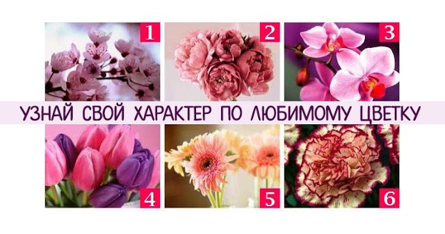 Тест: ваш любимый цветок раскроет главные черты вашего характера