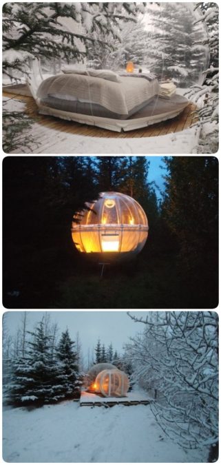 В Исландии можно спать в таких ″пузырях″ и смотреть на лес и северное сияние
