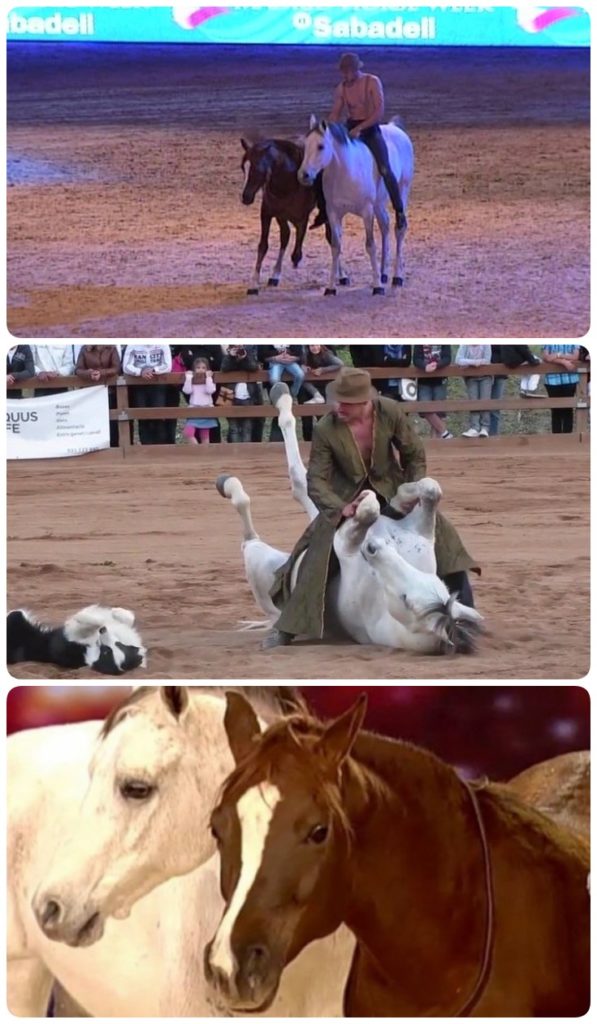 Конь реакция иностранцев. Реакция коня на голос хозяина. Реакция иностранцев на песню конь. Лошадь тянет. Отлар киргизистон.