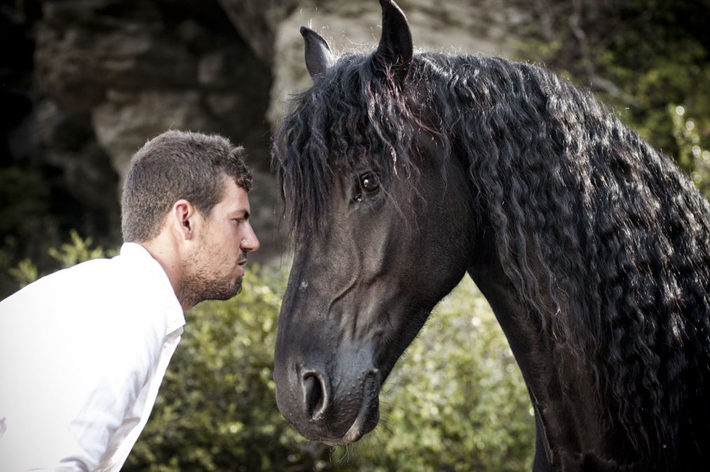 Он наклонился, чтобы поцеловать свою лошадь. Реакция зверя — просто фантастика!