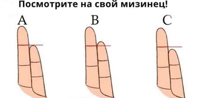 Как длина пальцев влияет на характер человека?