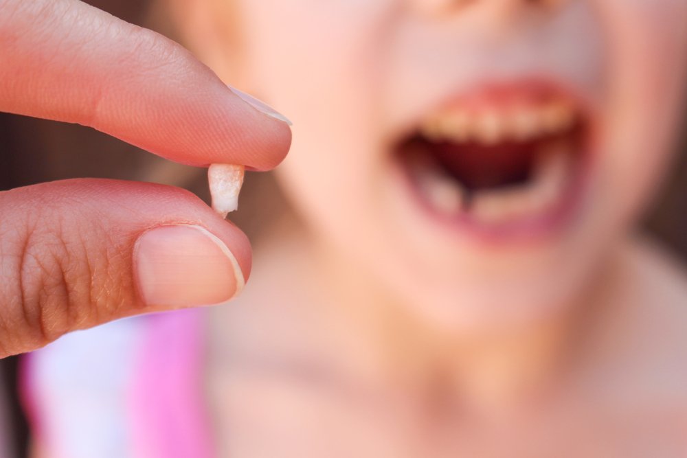 Сохраните молочные зубы ребенка, возможно они спасут ему жизнь.