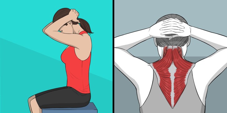 Упражнения на растяжку, которые заменят массаж шеи и спины.