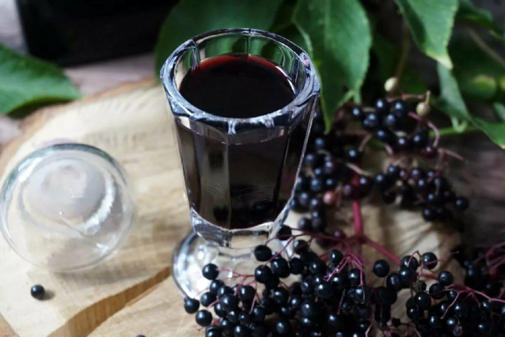 Напиток из черной бузины - эликсир здоровья, молодости и долголетия.