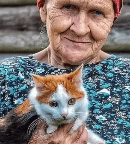 "Я виновата, я приезжала редко!": бабушка ушла, а я забрала её кота, который спас ей когда-то жизнь