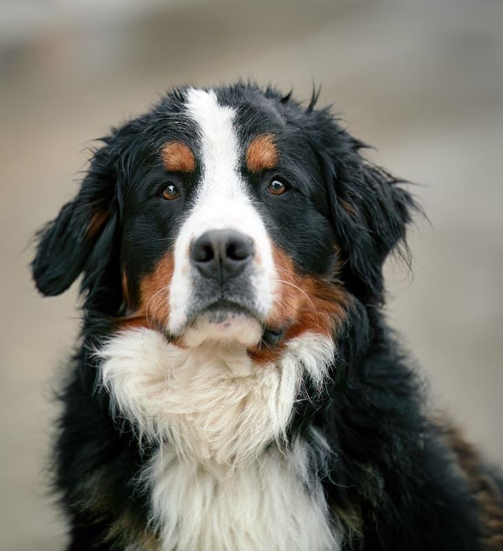 Не хочу её потерять