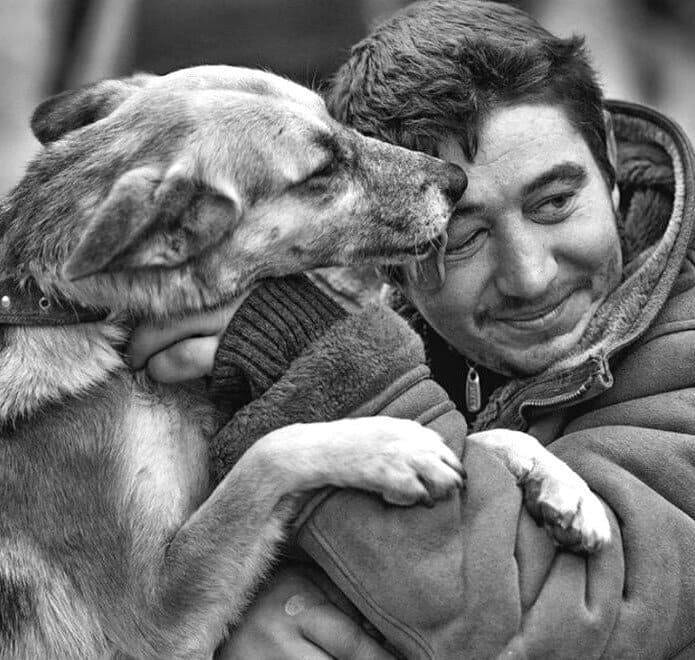 Друг человека