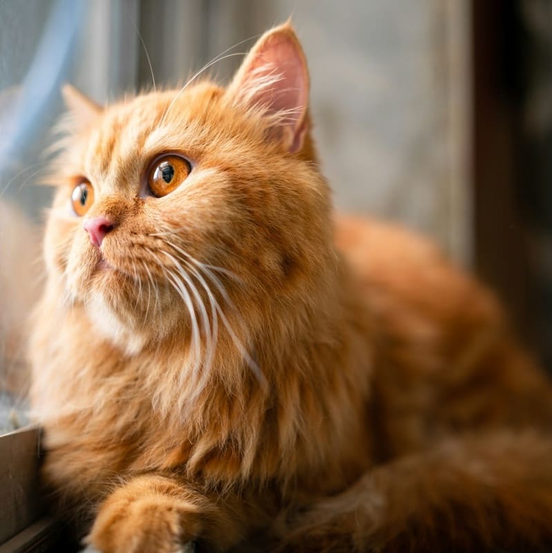 Еле выпросила прощения