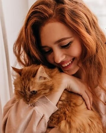 Выбор кота